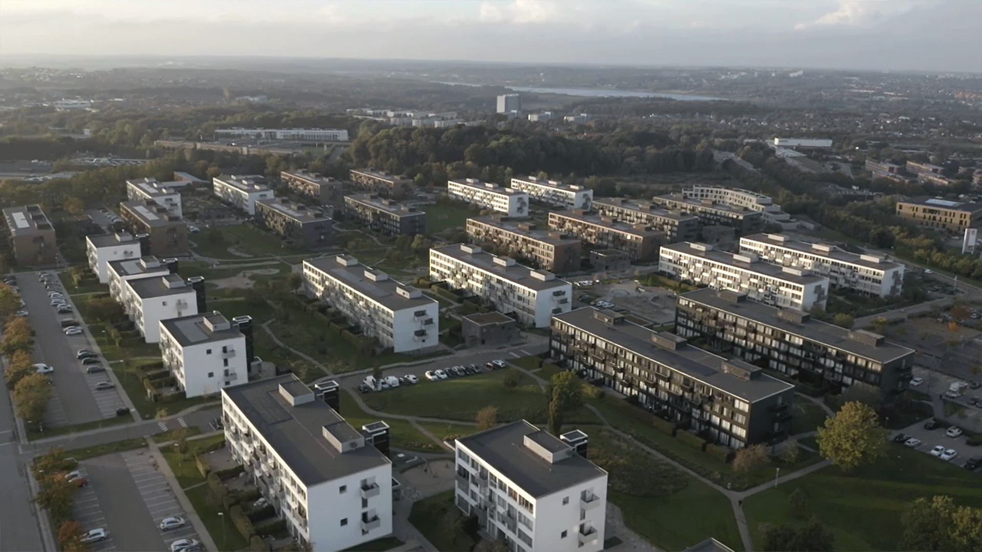 New short video unfolds Rosenhøj transformation strategies